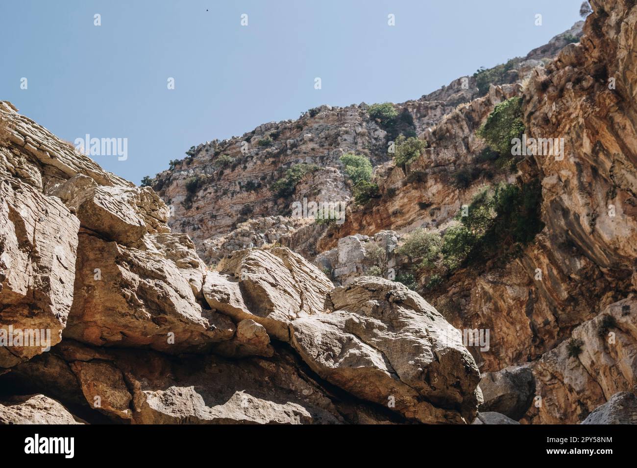 Steiler Hügel vom Grund des Canyons aus gesehen Stockfoto