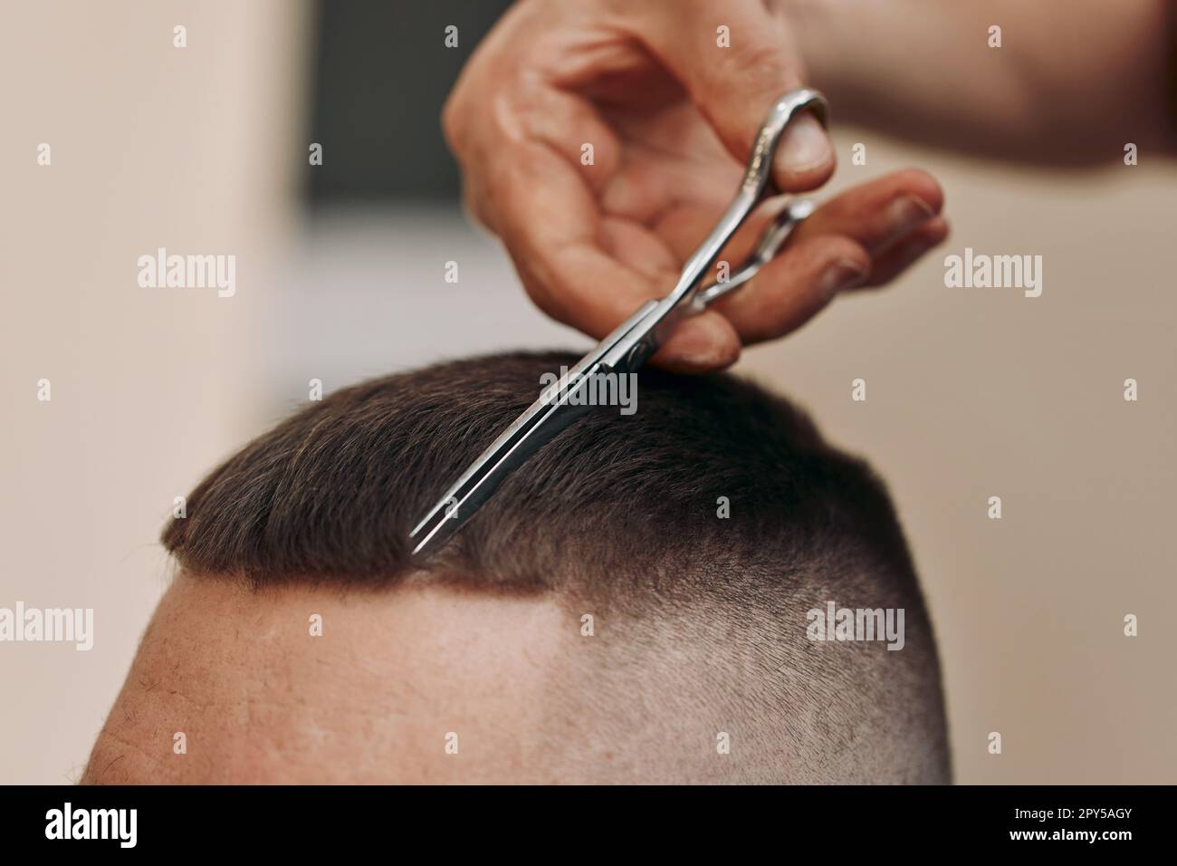 Der Friseur frisiert im Friseursalon mit einer Schere Stockfoto