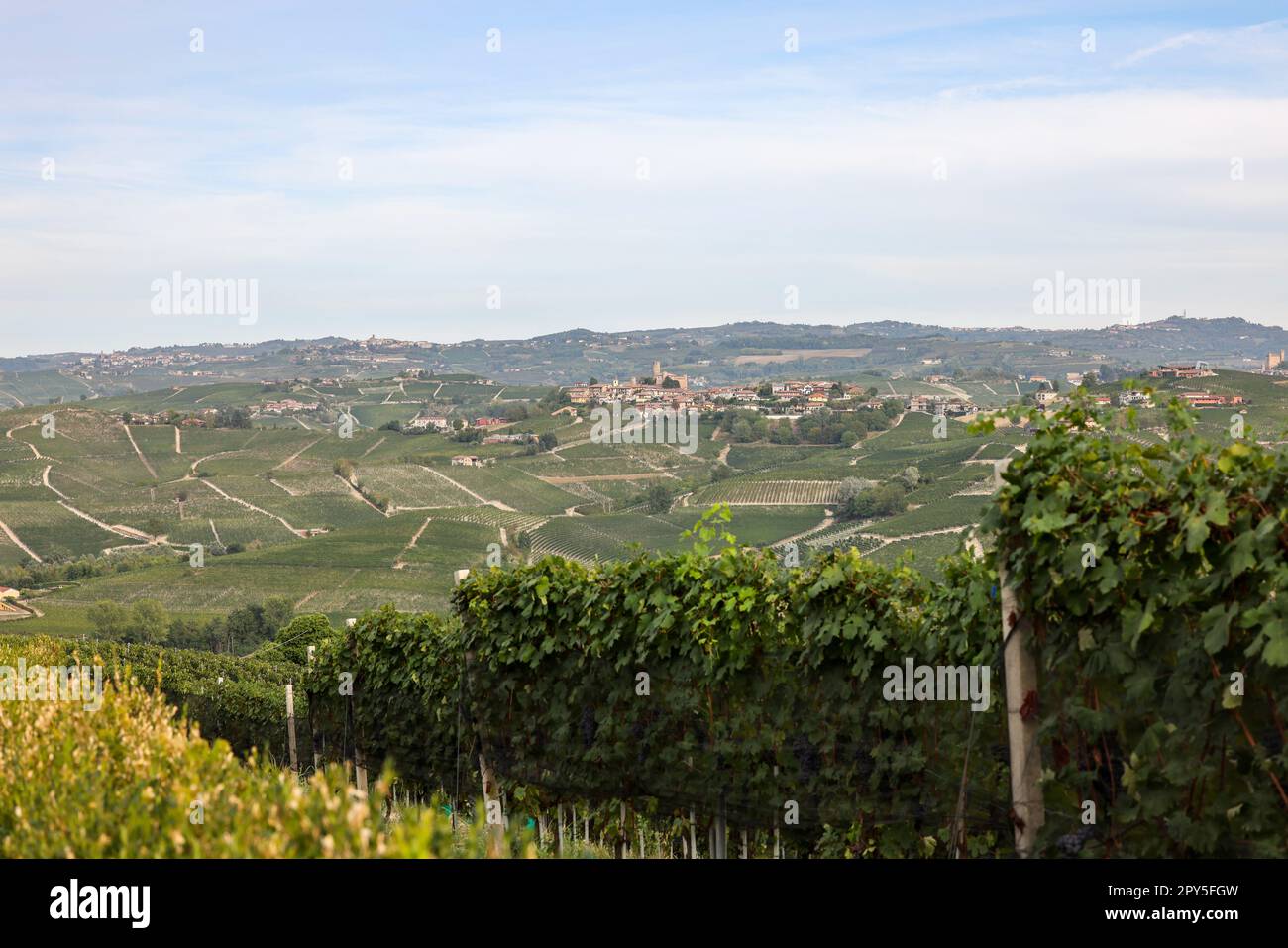 Langhe Weinberge in der Nähe von Serralunga d'Alba. Unesco-Weltkulturerbe, Piemont, Italien Stockfoto