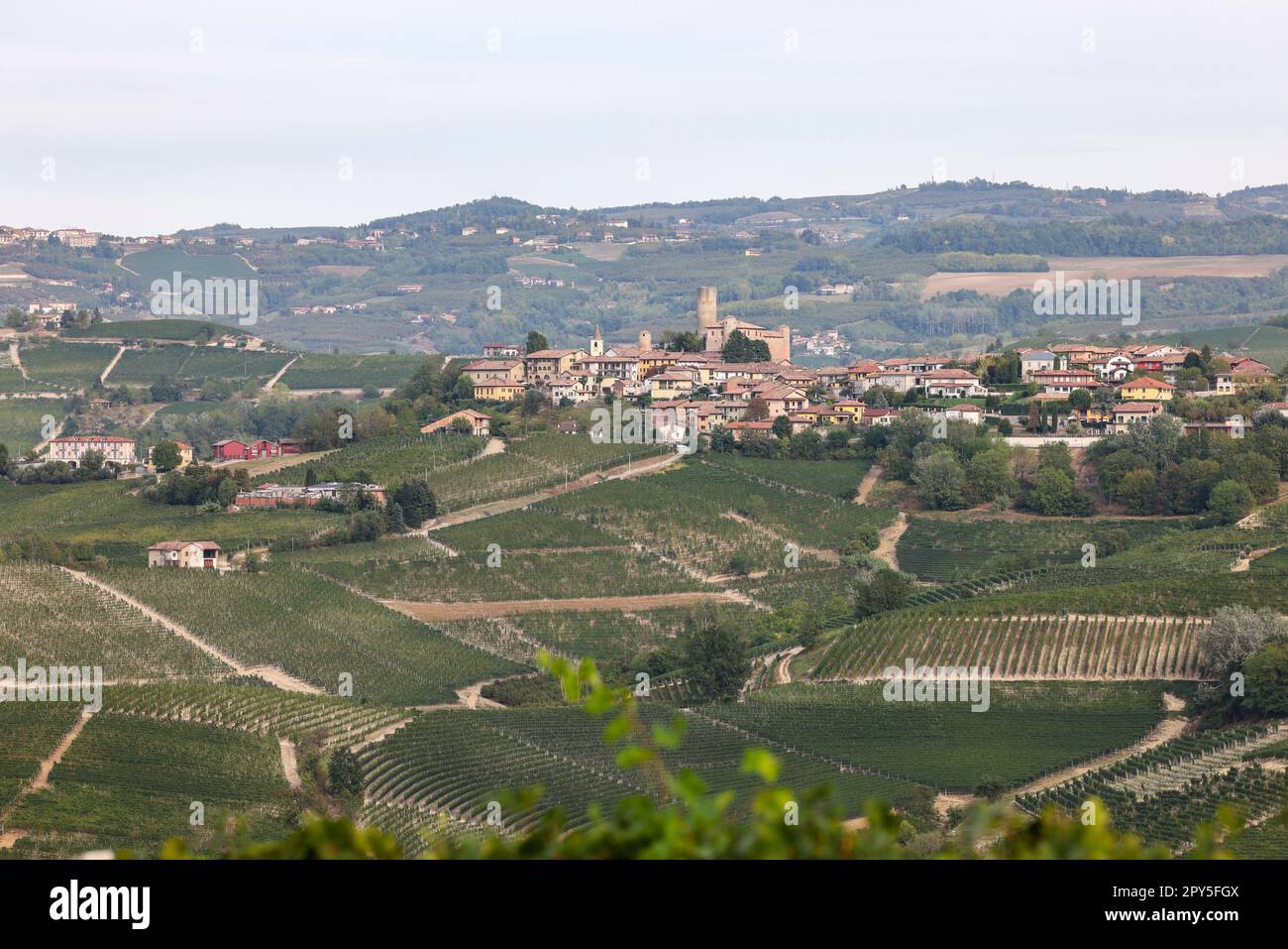Langhe Weinberge in der Nähe von Serralunga d'Alba. Unesco-Weltkulturerbe, Piemont Stockfoto