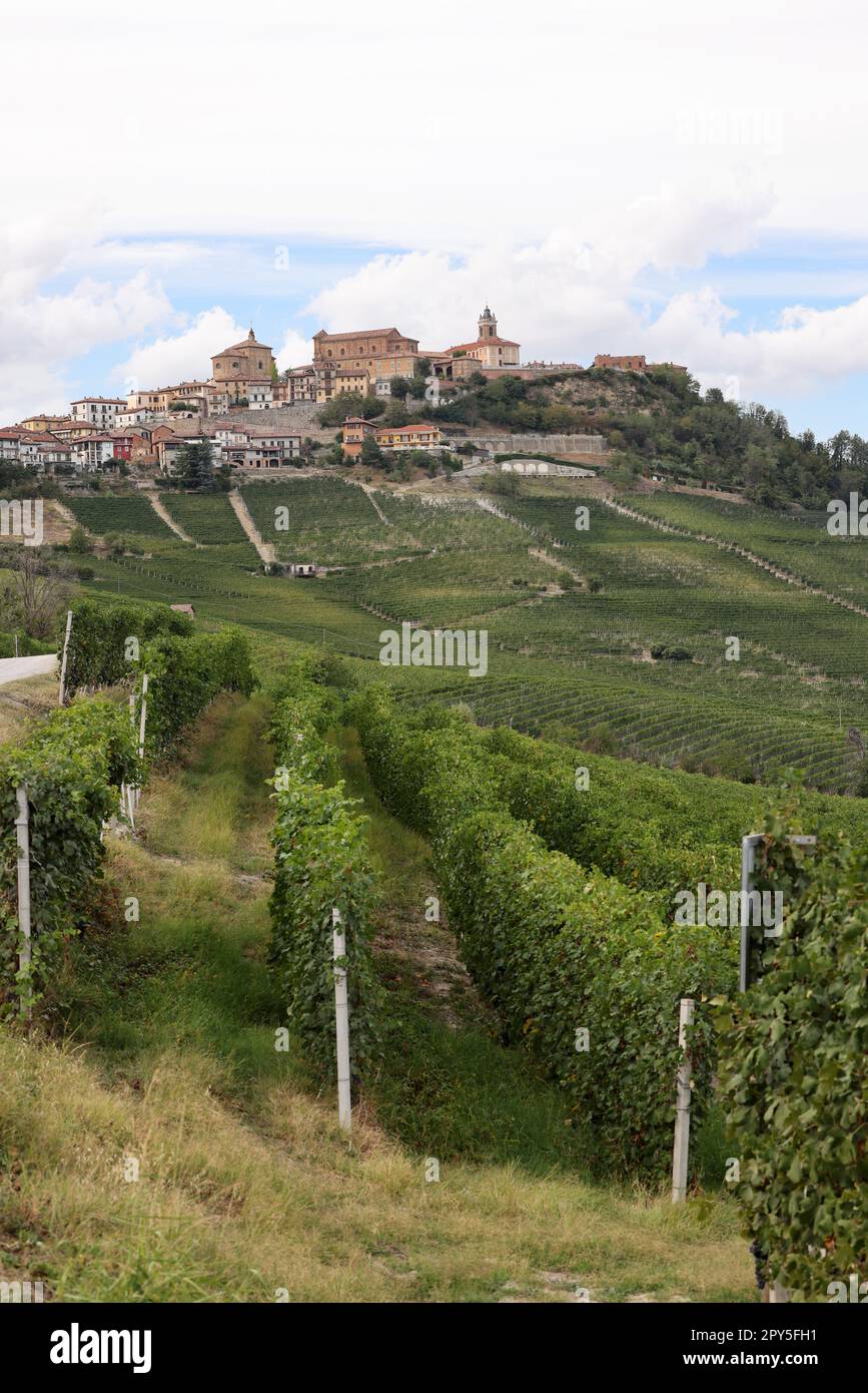 Langhe Weinberge in der Nähe von La Morra, UNESCO-Weltkulturerbe, Piemont, Italien Stockfoto