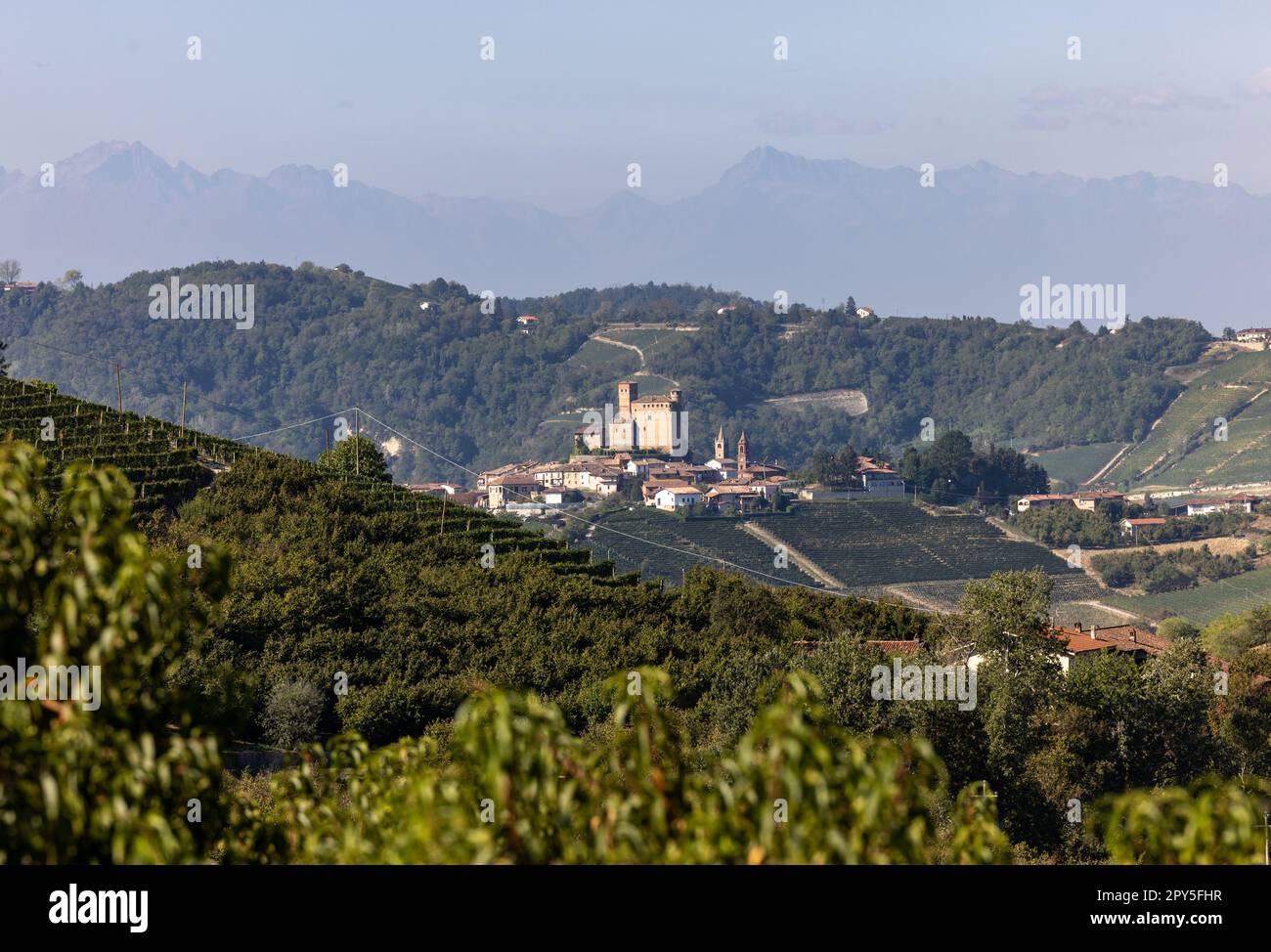 Langhe Weinberge in der Nähe von Serralunga d'Alba. Unesco-Weltkulturerbe, Piemont, Italien Stockfoto