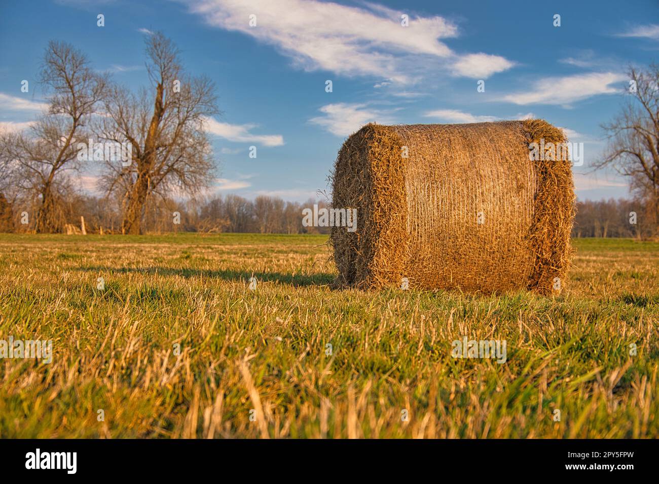 Ein Heuballen auf einer Wiese. Die Ernte wurde eingebracht. Blauer Himmel mit weißen Wolken. Stockfoto