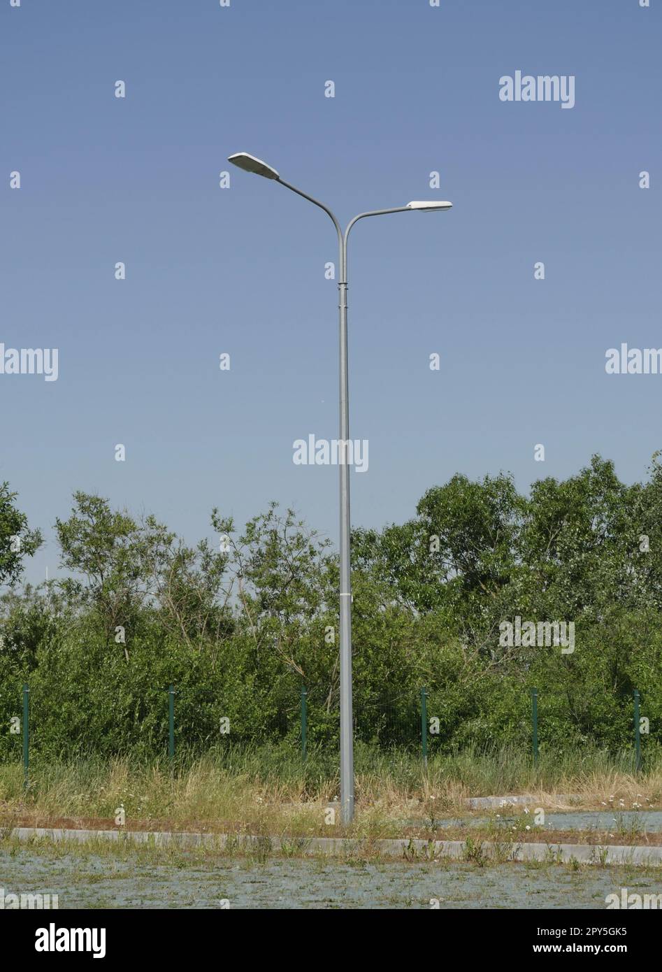 Ein Straßenmast mit zwei Laternen in der Natur Stockfoto