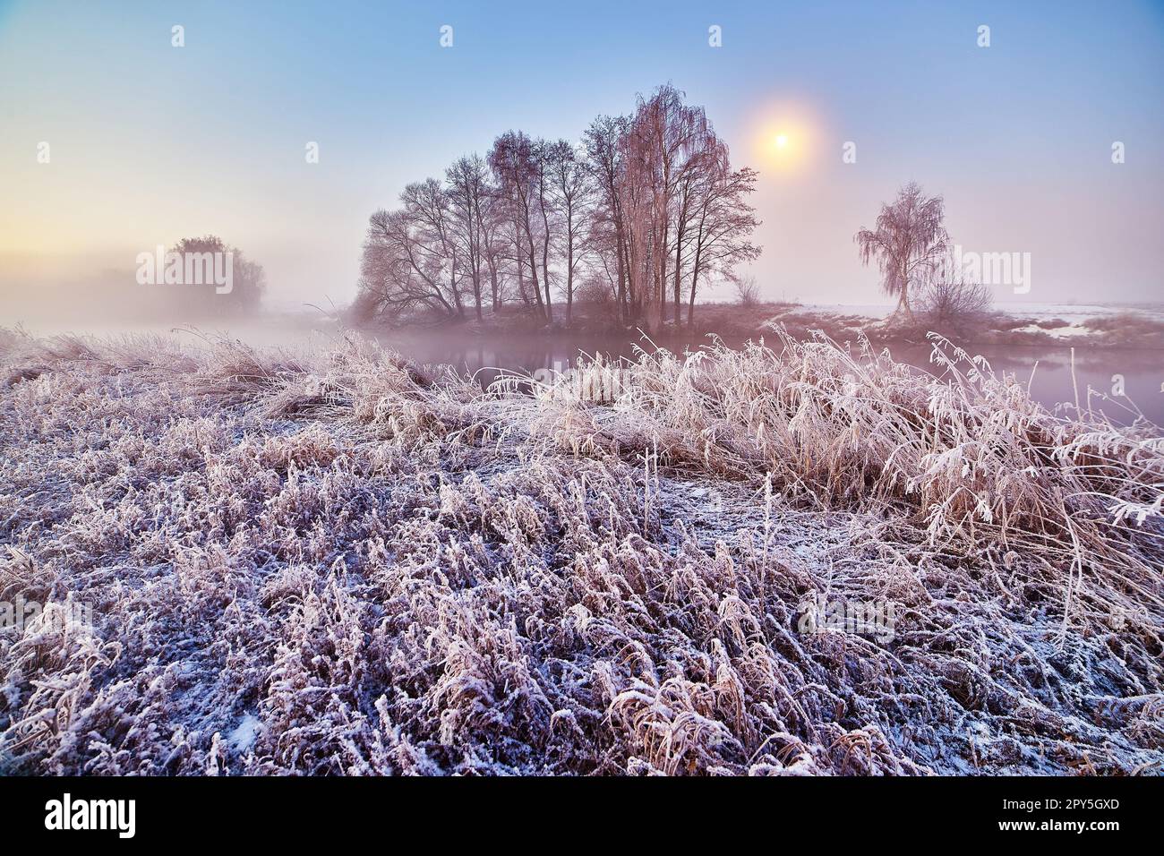 Morgengrauen auf dem Winterfluss. Frost auf Gras, Stock. Mond am klaren Himmel. Februar-Nebel. Sonnenaufgang aus Holz. Kaltes Nachtwetter Landschaft, Reflexion im Wasser. Ländlicher Raum in Europa Stockfoto