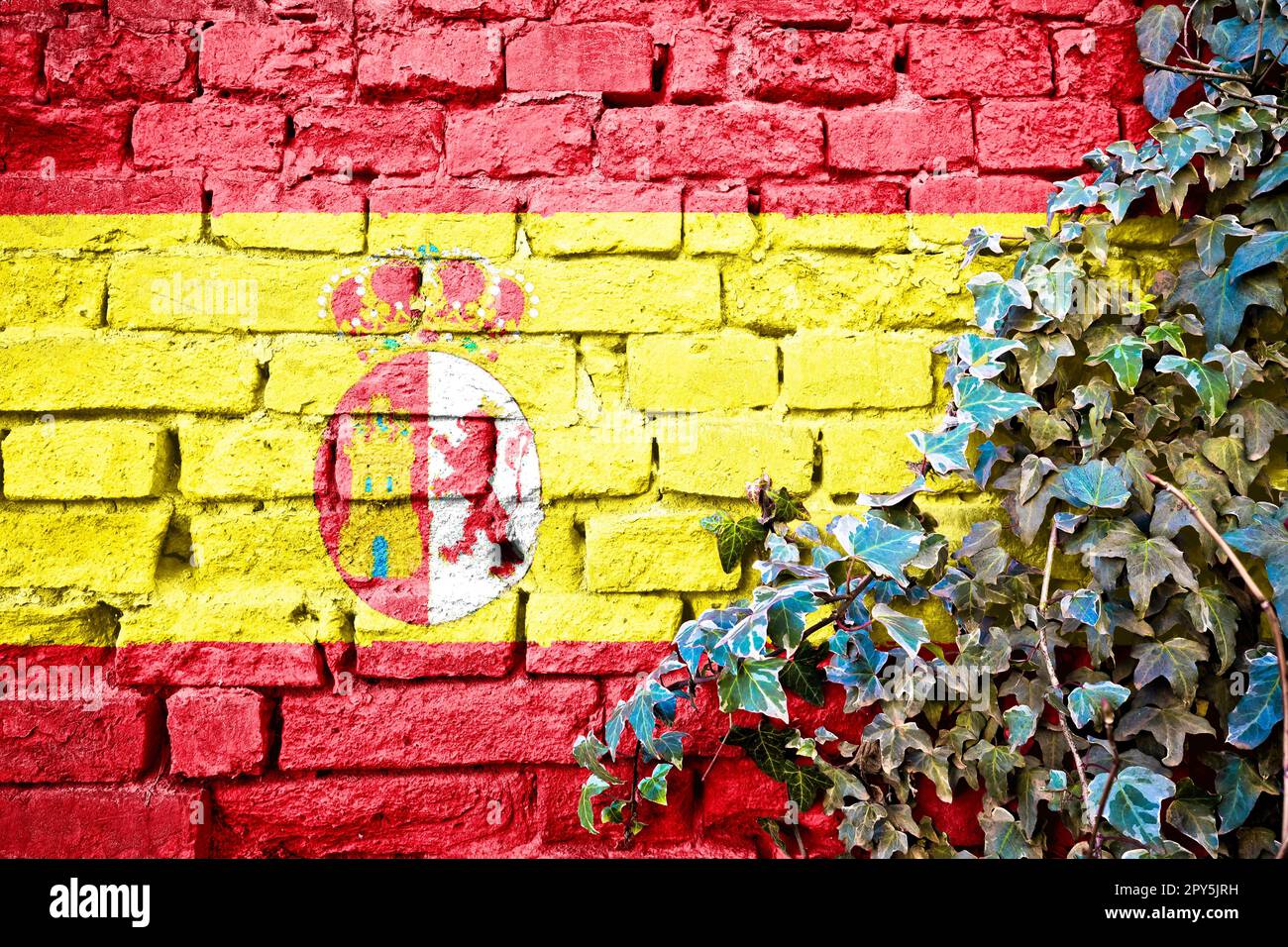 Spanischer efeu -Fotos und -Bildmaterial in hoher Auflsung  Alamy