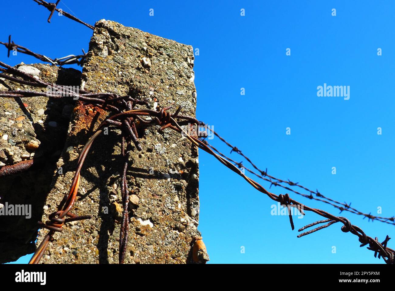 Stacheldraht, Doppeldraht, Metallband mit scharfen Spitzen für Barrieren. Rostiger Stacheldraht am blauen Himmel. Der Begriff Krieg, die Einschränkung von Rechten und Freiheiten. Betonpfeiler. Stockfoto