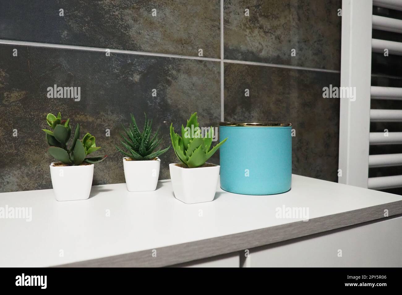 Dekorelemente im Badezimmer. Ein blaues Glas mit cremefarbenen und grünen Pflanzen in kleinen weißen Töpfen steht auf einem Regal des Schranks. Schwarze Wandfliesen. Bad und WC-Innenausstattung. Heizkörper an der Wand. Stockfoto