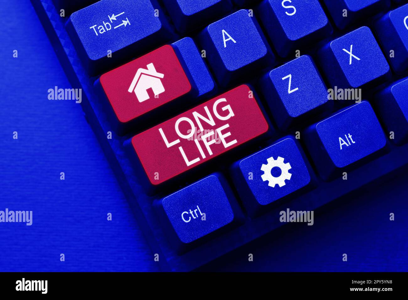 Konzeptionelle Beschriftung Long Life. Wort für länger arbeiten können als andere derselben Art Stockfoto