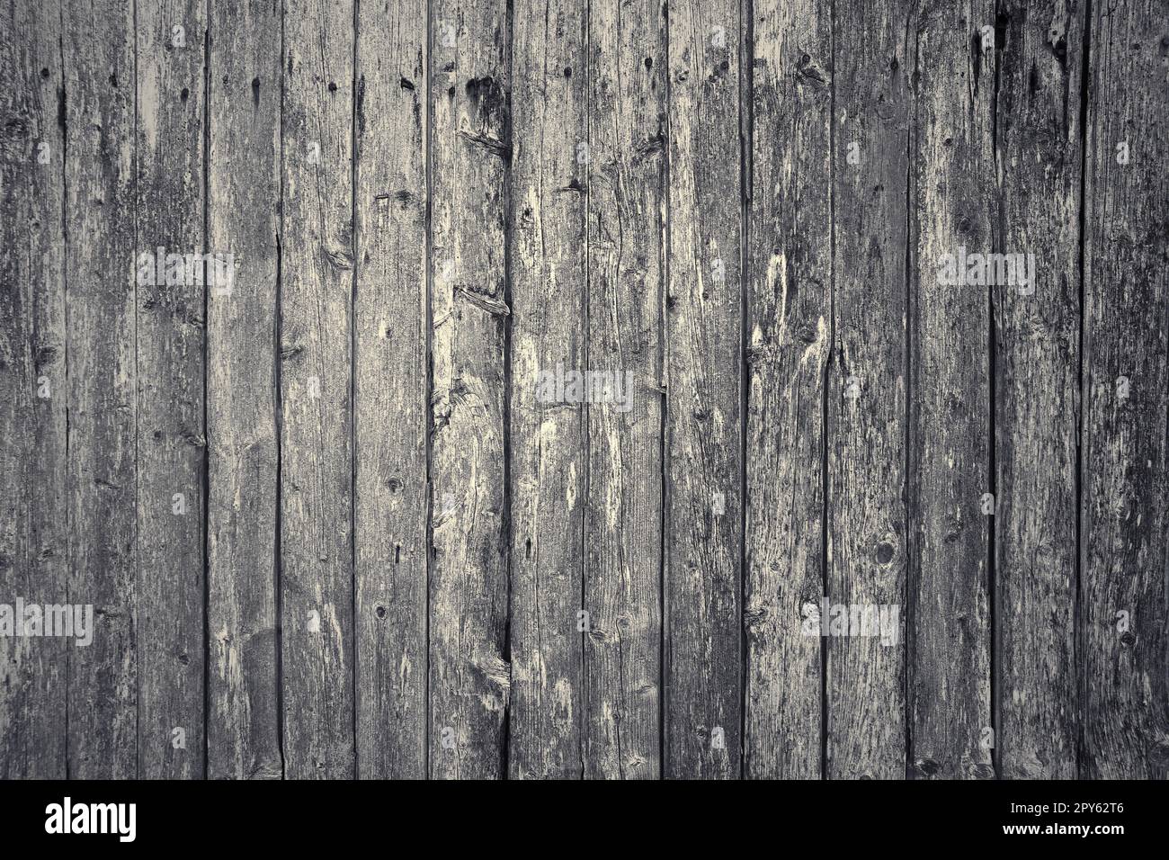 Holzoberfläche mit Brettern und Körnentexturen in hoher Auflösung. Stockfoto