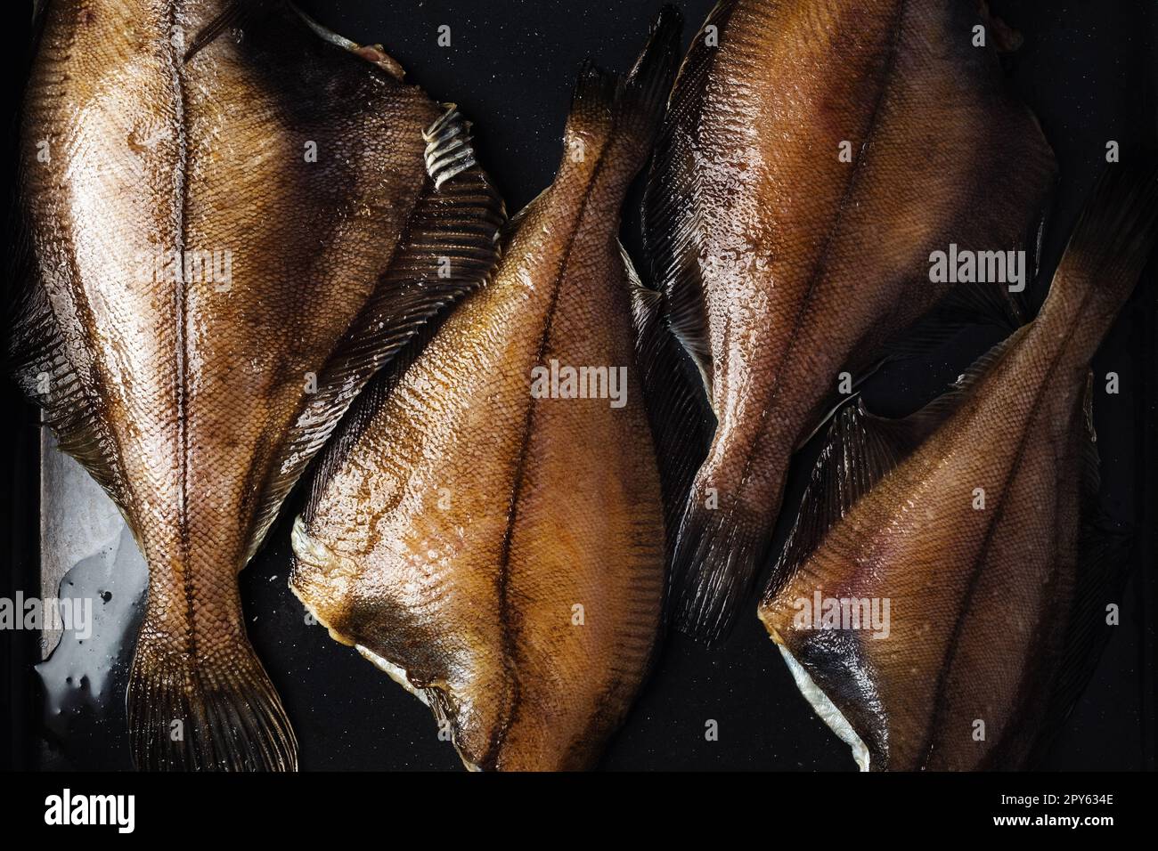 Rohe Fischflunder Stockfoto