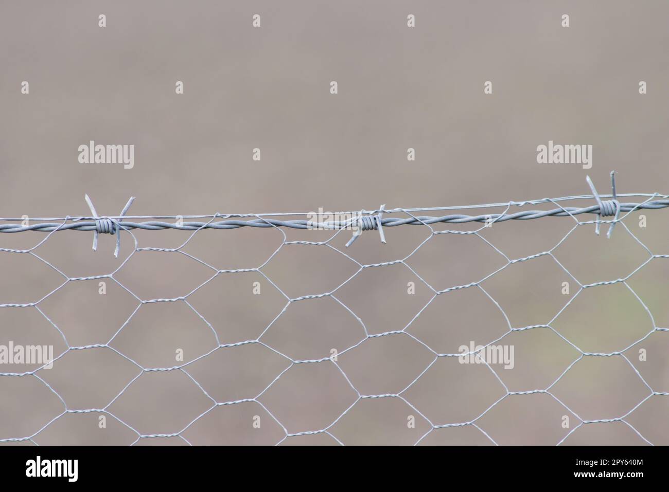 Barb Drahtgeflechte Zäune auf dem Ackerland und zeigt kein unbefugtes Betreten des landwirtschaftlichen Feldes oder für Gefängnis- und Gefängnissicherheit gegen Verbrechen und Flucht von Gefangenen im Gefängnis Stockfoto