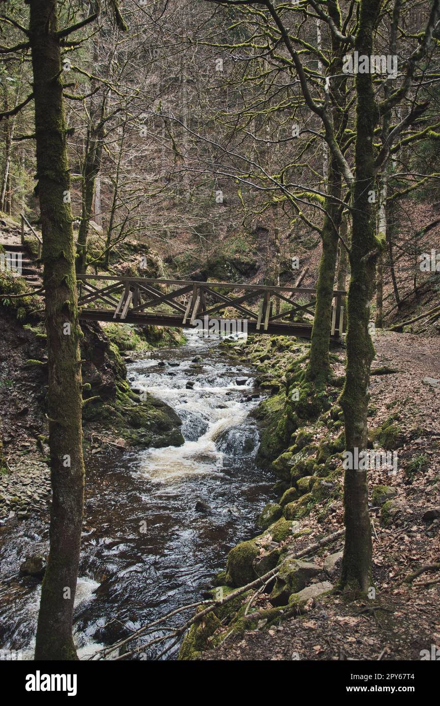 Vertikales Bild der Brücke über dem Bach im Wald von Blackwood. Ravenna-Schlucht, Deutschland. Stockfoto