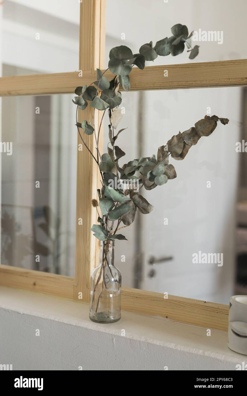 Trockene Pflanzen im minimalistischen Glasgefäß. Vertikales Bild eines Astes mit trockenen Blättern in einer eleganten, einfachen Glasvase. Dekoration und Innendesign Stockfoto