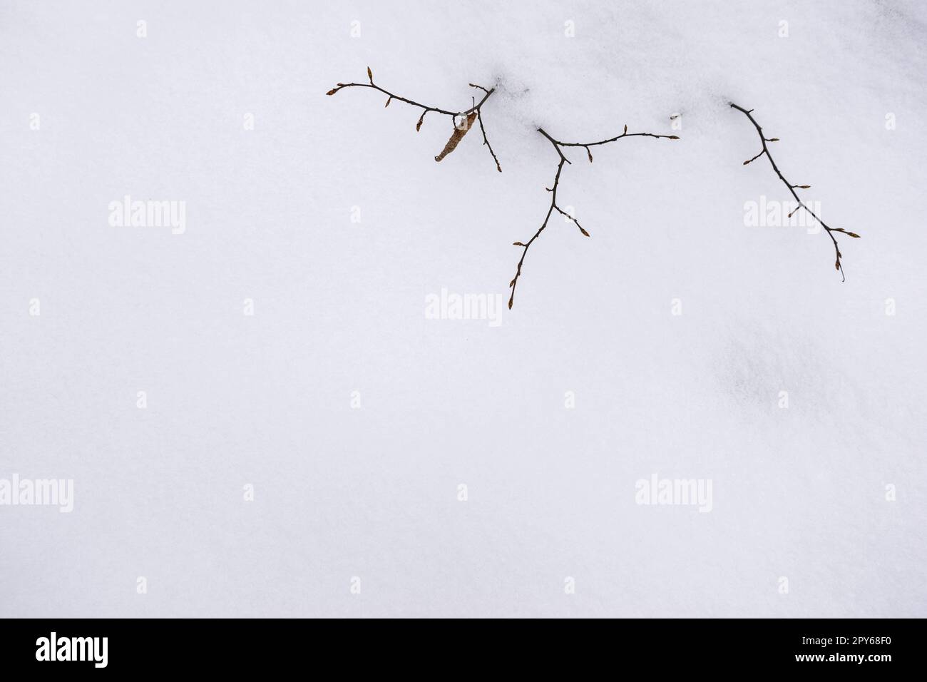 Eine Bank in weißem, frischem Schnee im Winter Stockfoto