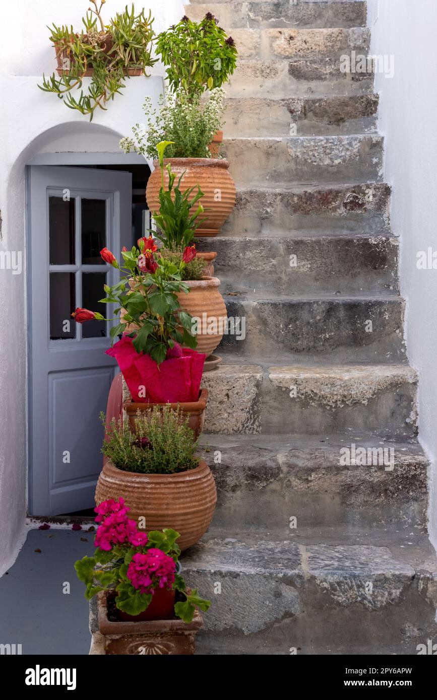 Keramik-Blumentöpfe auf steilen Steintreppen in Imergovigli, Santorini, Griechenland Stockfoto