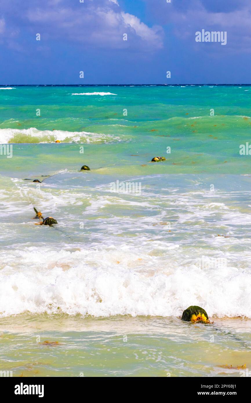 Blaue karibische Wasserwellen und Ozeanboje und Seile Mexiko. Stockfoto