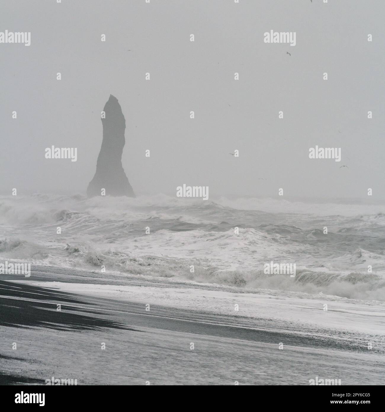 Lonely Rock on Iceland Beach – Schwarzweiß-Landschaftsfoto Stockfoto