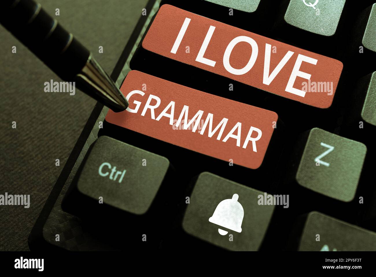 Konzeptionelle Beschriftung I Love Grammar. Begriffliche Bedeutung des Bewunderungssystems und der Sprachstruktur Stockfoto