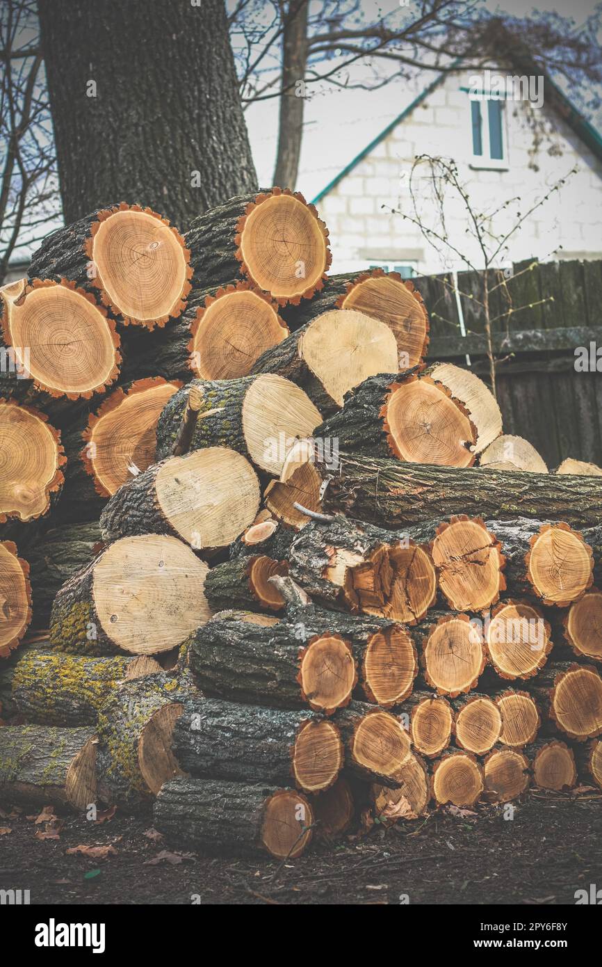 Nahaufnahme Brennholzstapel Konzeptfoto Stockfoto