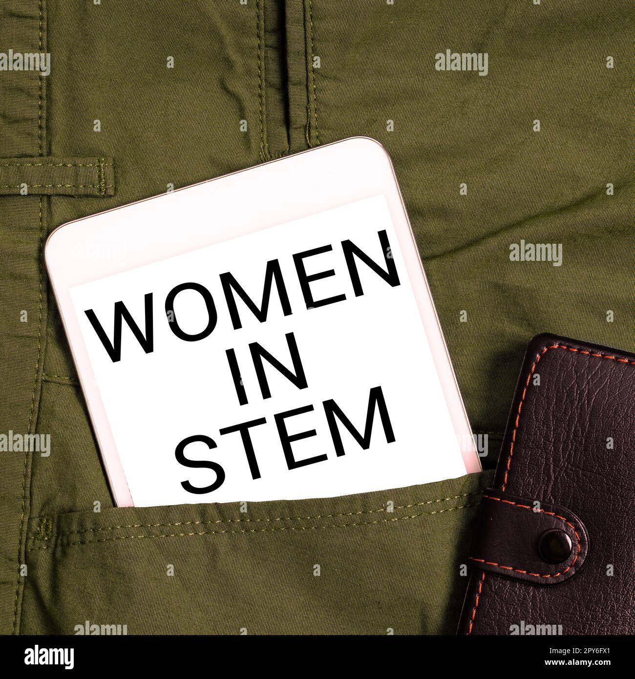 Handschrifttext Women in Stem. Internet Concept Science Technology Engineering Mathematics Scientist Research Stockfoto