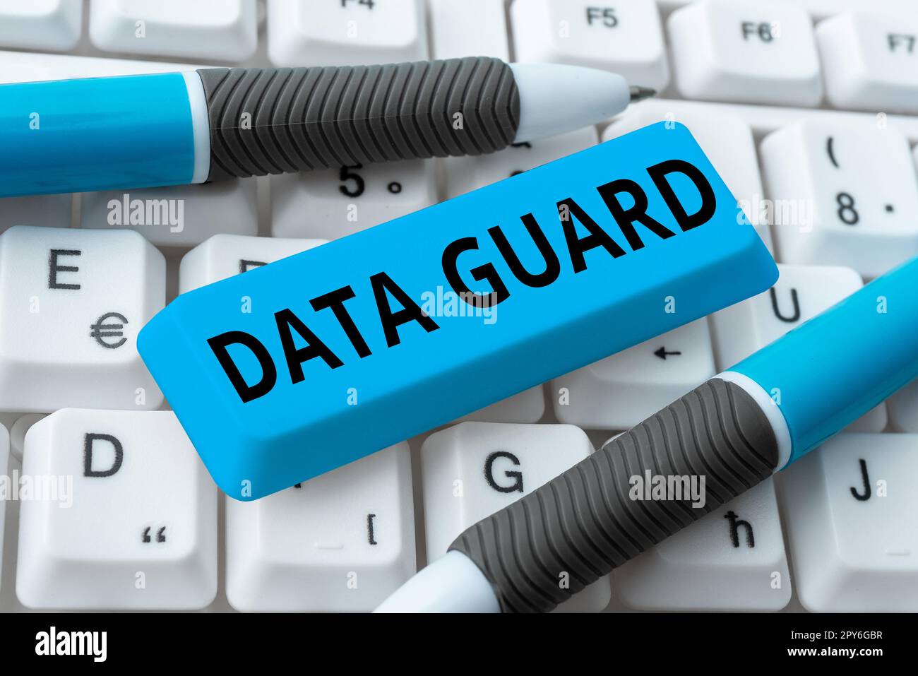Schild mit Data Guard. Konzeptionelle Fotoverwaltung von Datenbanken, um Katastrophen und Datenbeschädigungen zu überstehen Stockfoto