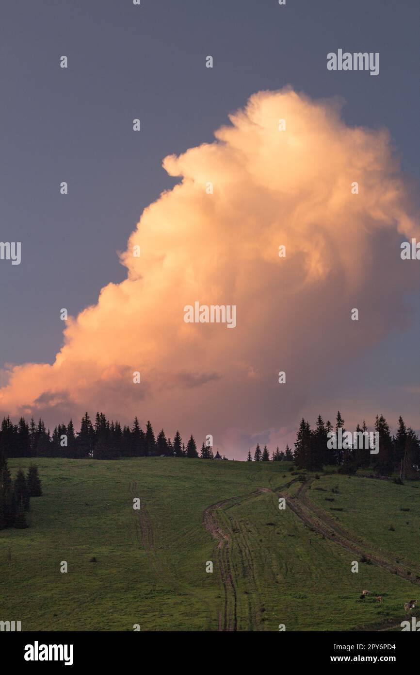 Flauschige Sonnenuntergangswolke, die sich über dem Landschaftsfoto des Waldhügels erhebt Stockfoto
