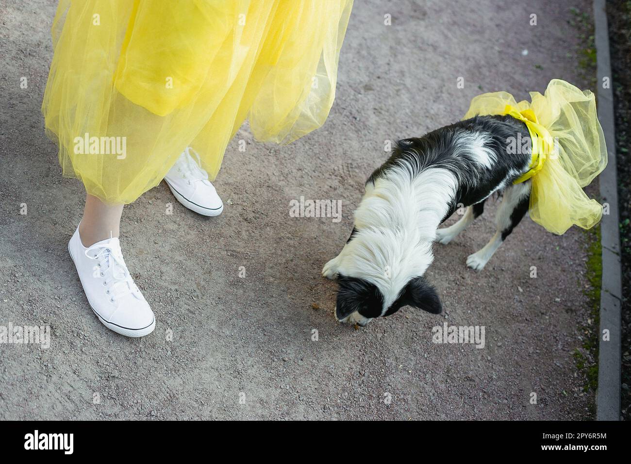 Frau und ihr Haustier, malerische Fotografie Stockfoto