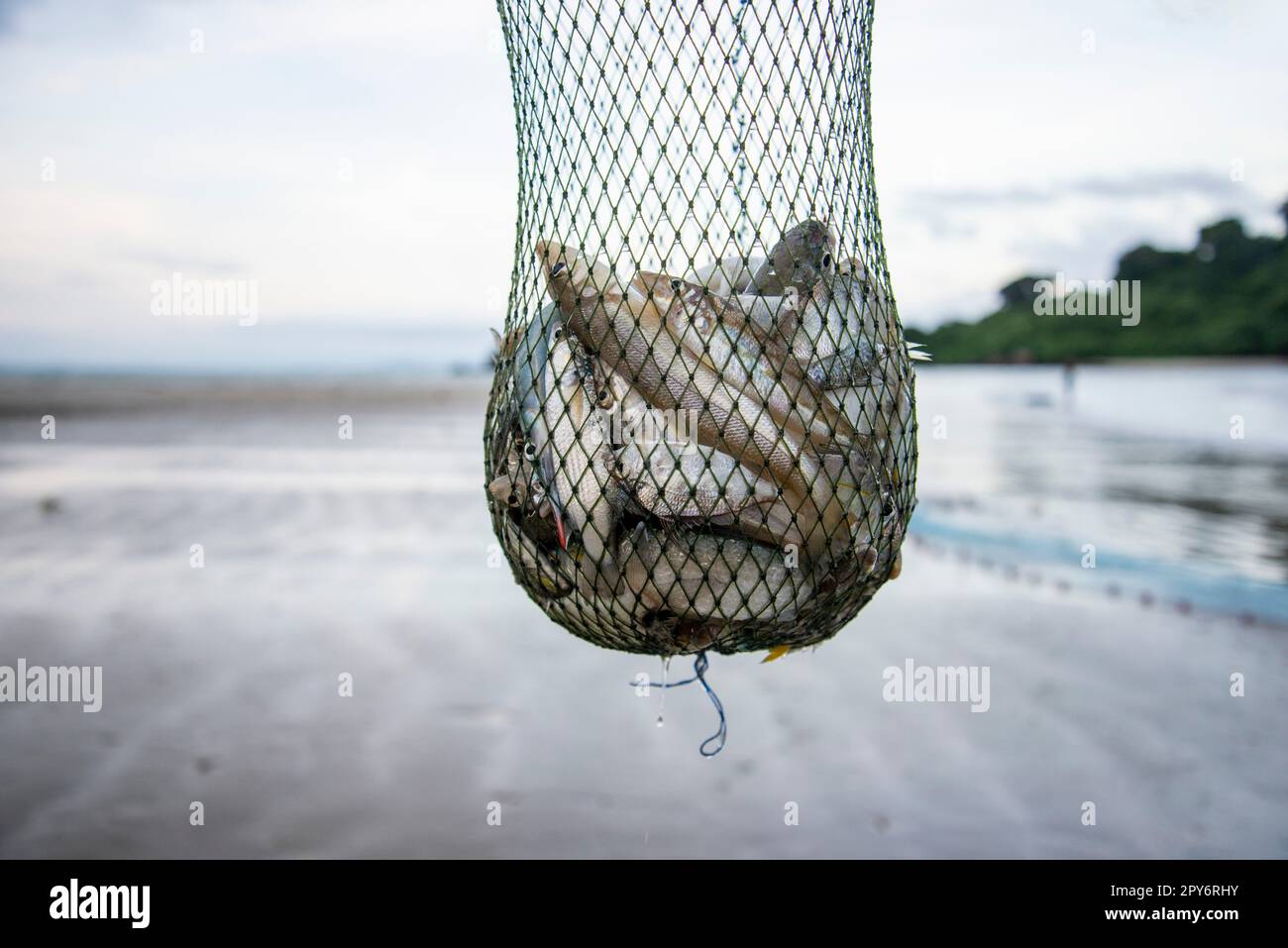 THAILAND PRACHUAP BANG SAPHAN BO THONG LANG BAY Stockfoto