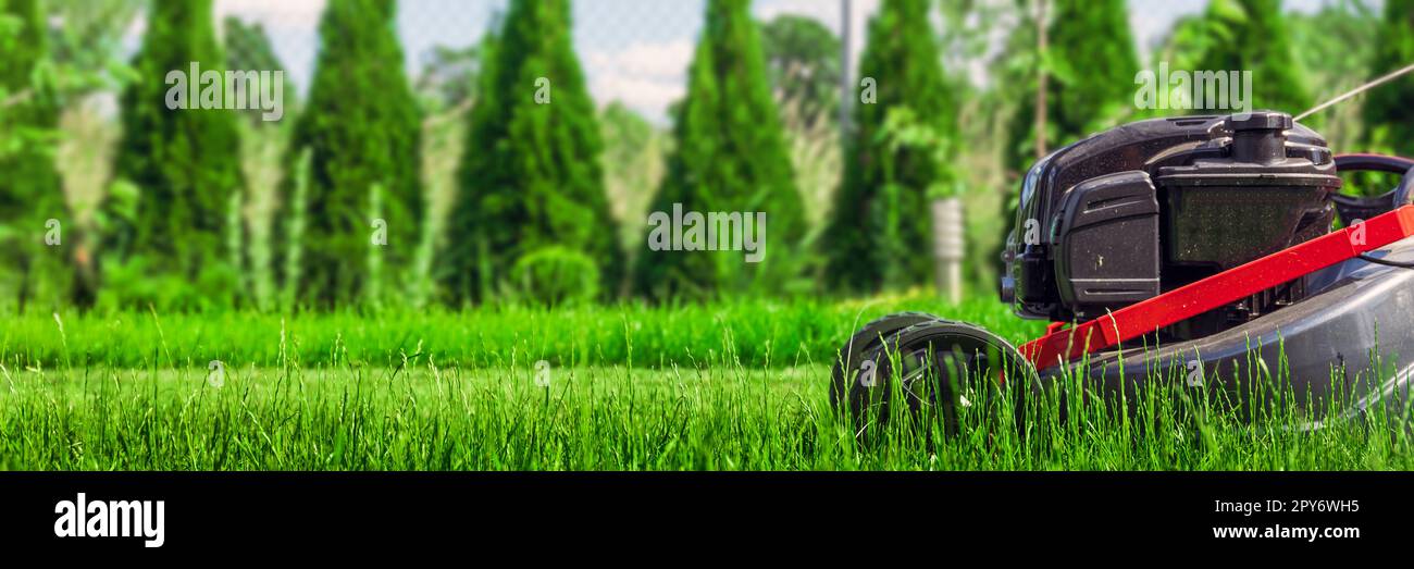 Rasenmäher schneidet grünes Gras im Hinterhof, mäht Rasen Stockfoto