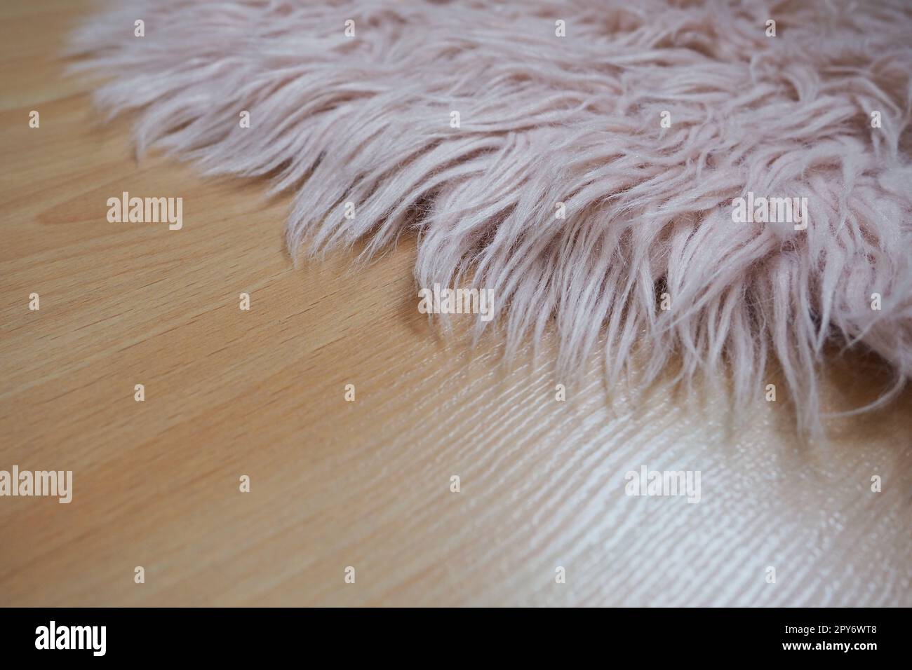 Teppich mit langem Flor in Rosa auf einem beigen Laminatboden. Feminine Einrichtung für ein Zimmer oder Schlafzimmer eines Mädchens oder einer Frau. Innendesign in Rosa Farbtönen. Der Fußboden ist Laminat. Die Rolle der Staubmilben bei Allergien. Stockfoto