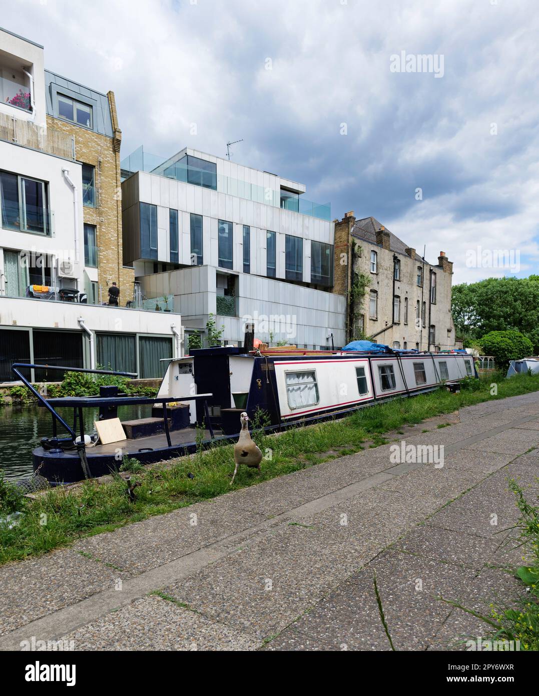 London - 05 21 2022 Uhr: Mallard-Ente vor Hausbooten, die auf dem Fußweg des Grand Union Canal in der Nähe der Adela Street festgemacht sind Stockfoto