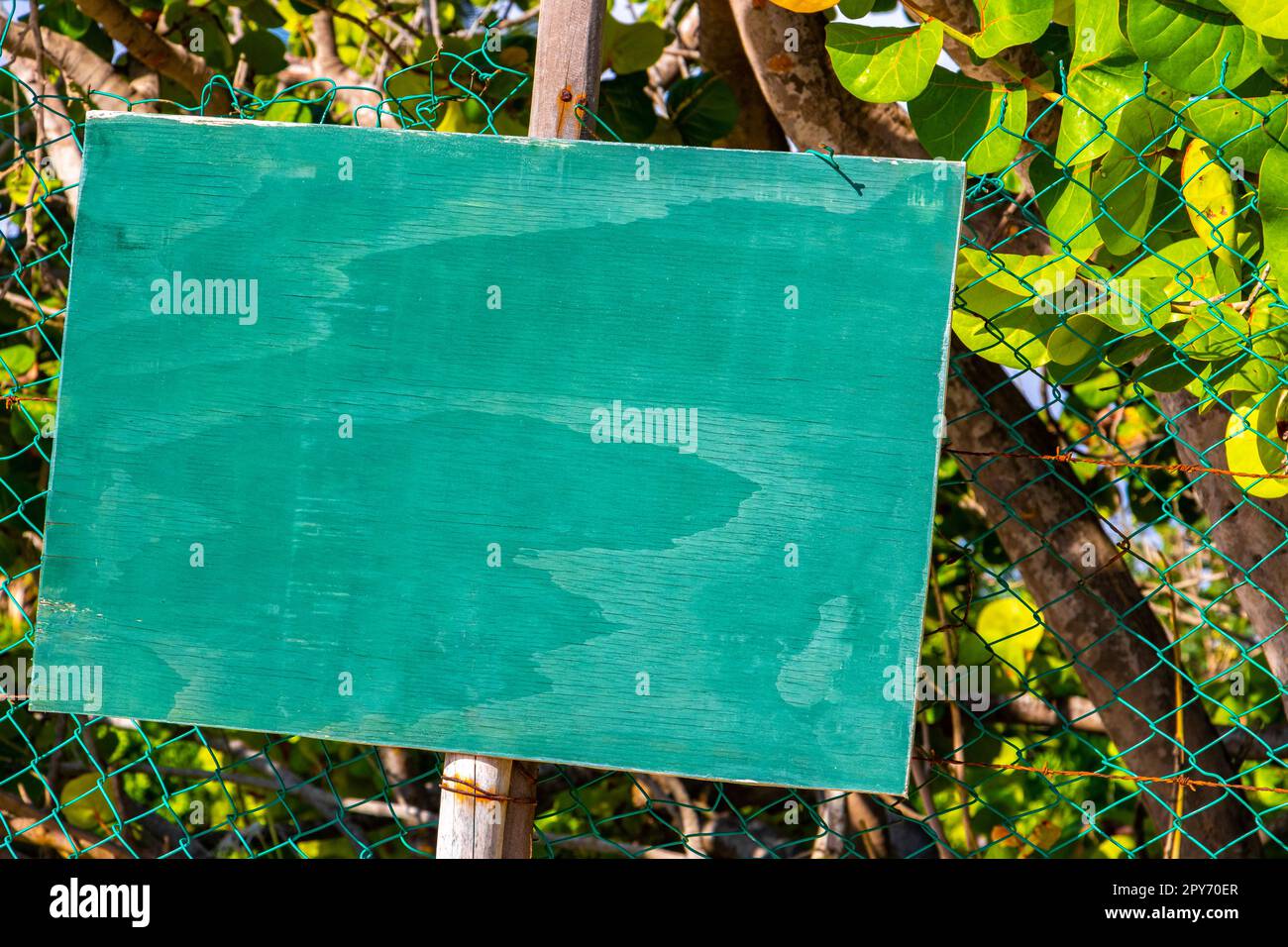 Grünes türkisfarbenes leeres Schild zur Kennzeichnung der StrandNatur Mexiko. Stockfoto