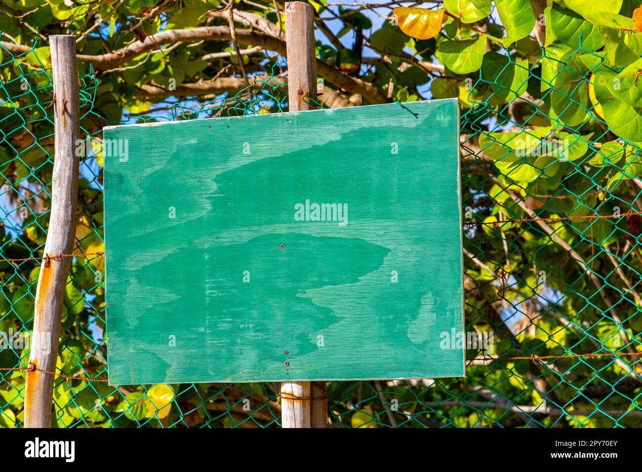 Grünes türkisfarbenes leeres Schild zur Kennzeichnung der StrandNatur Mexiko. Stockfoto