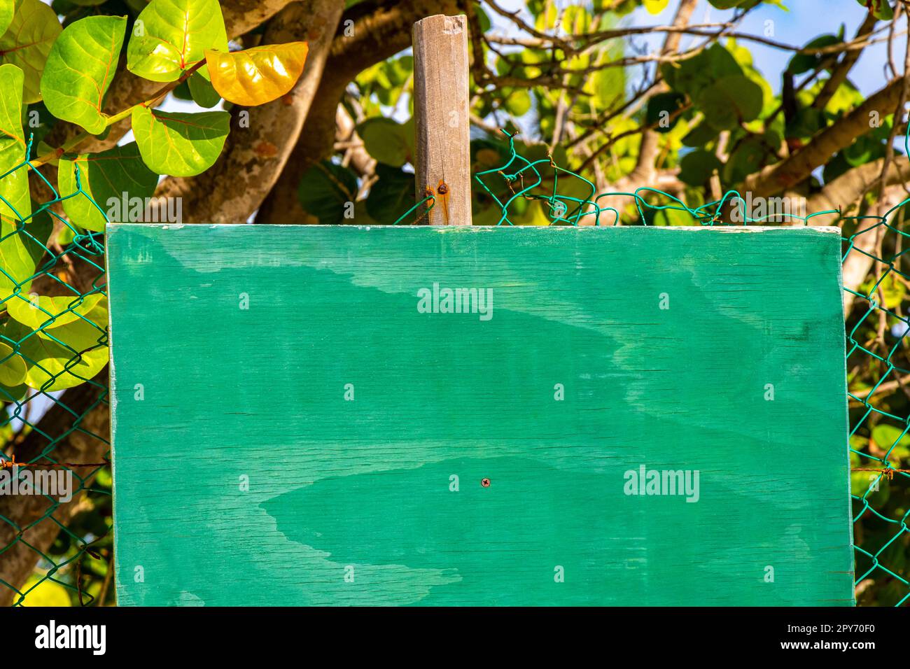 Grünes türkisfarbenes leeres Schild zur Kennzeichnung der StrandNatur Mexiko. Stockfoto