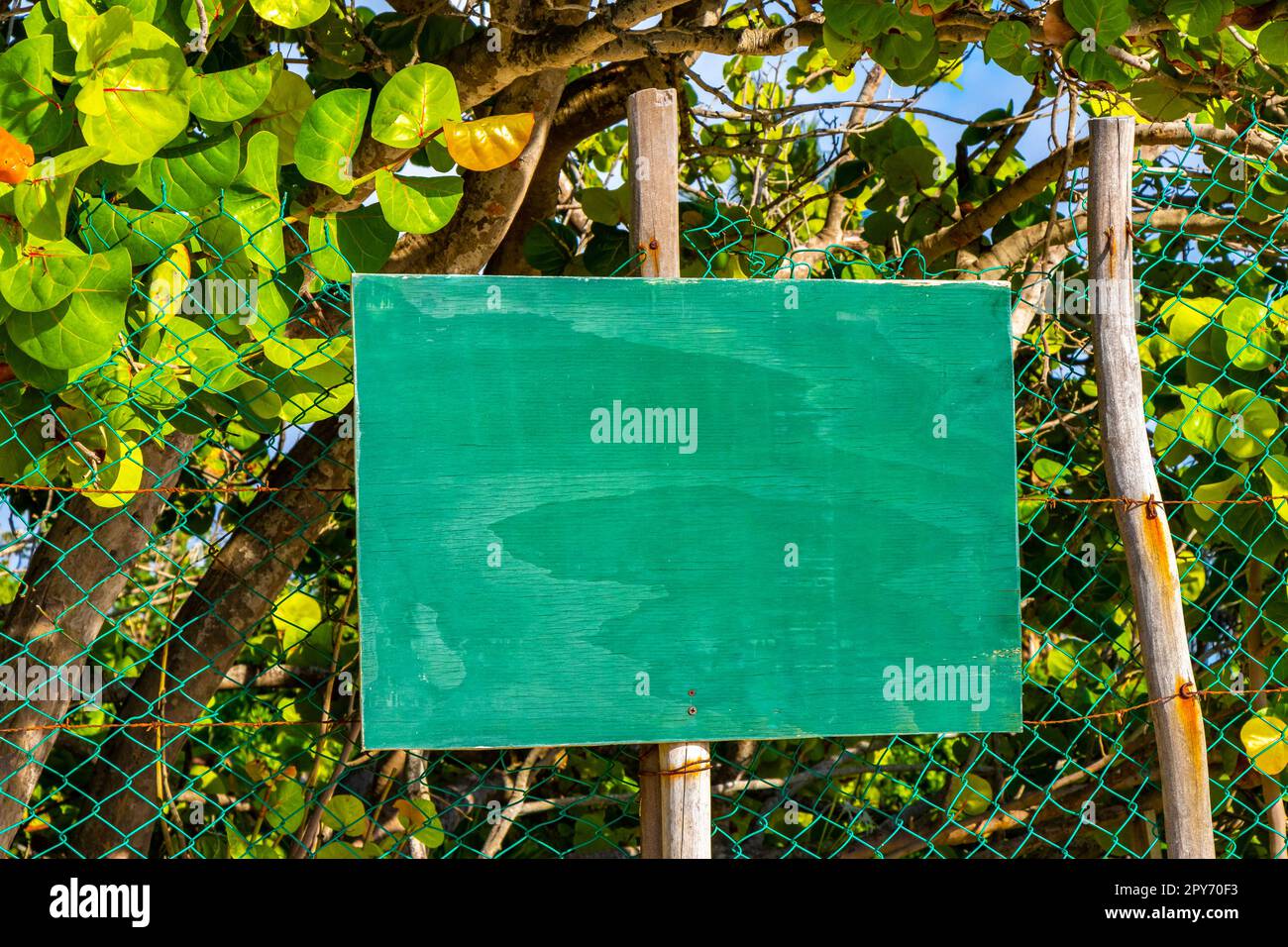 Grünes türkisfarbenes leeres Schild zur Kennzeichnung der StrandNatur Mexiko. Stockfoto
