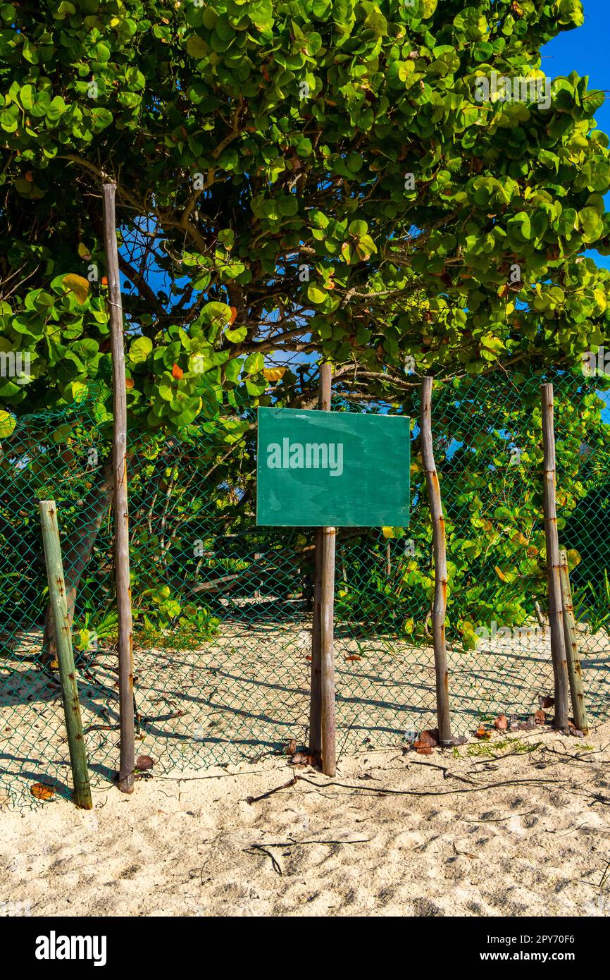 Grünes türkisfarbenes leeres Schild zur Kennzeichnung der StrandNatur Mexiko. Stockfoto