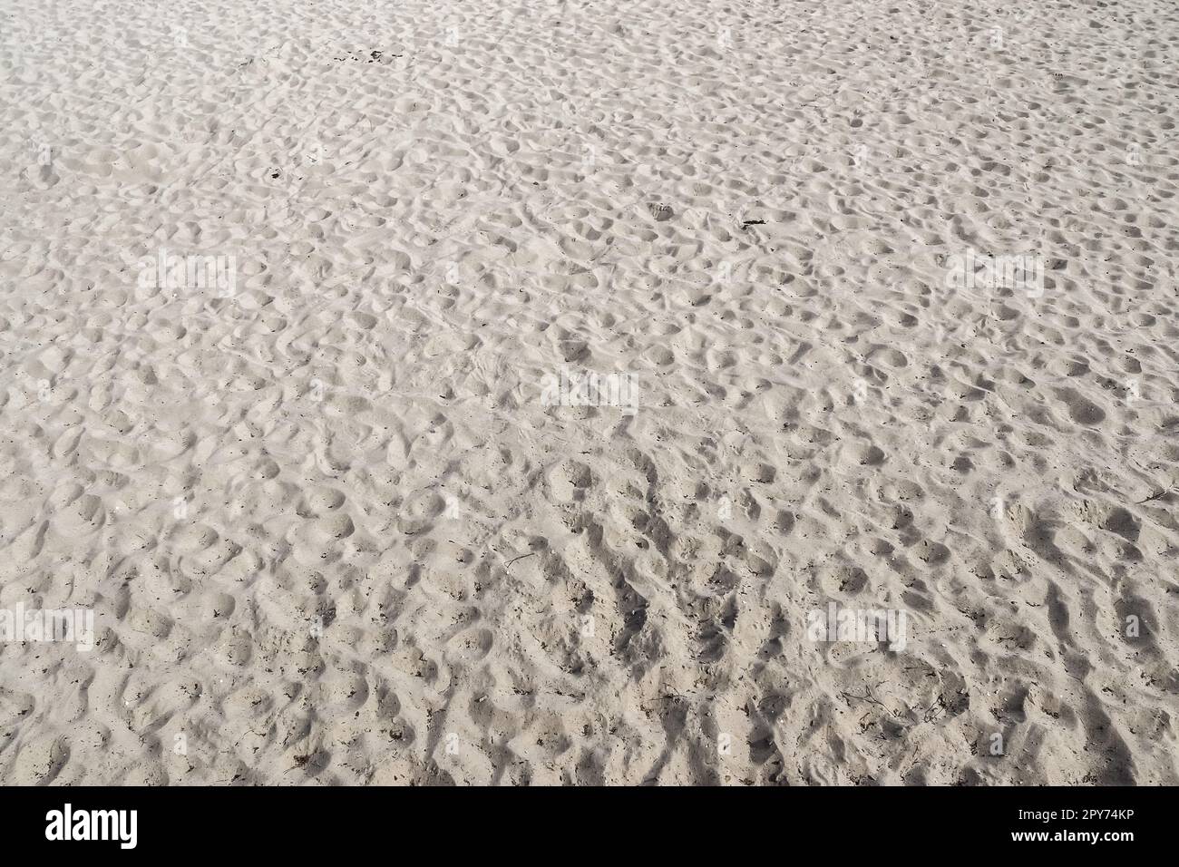 Braune Sandbodenstruktur in hoher Auflösung. Stockfoto