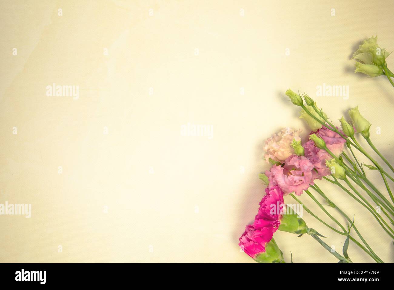 Blumendesign aus verschiedenen frischen Frühlingsblumen auf gelbem Hintergrund. Schöne Lichtreflexionen. Draufsicht. wildblumen flach liegend Kopierraum, Frühling, Sommer Naturkonzept Stockfoto