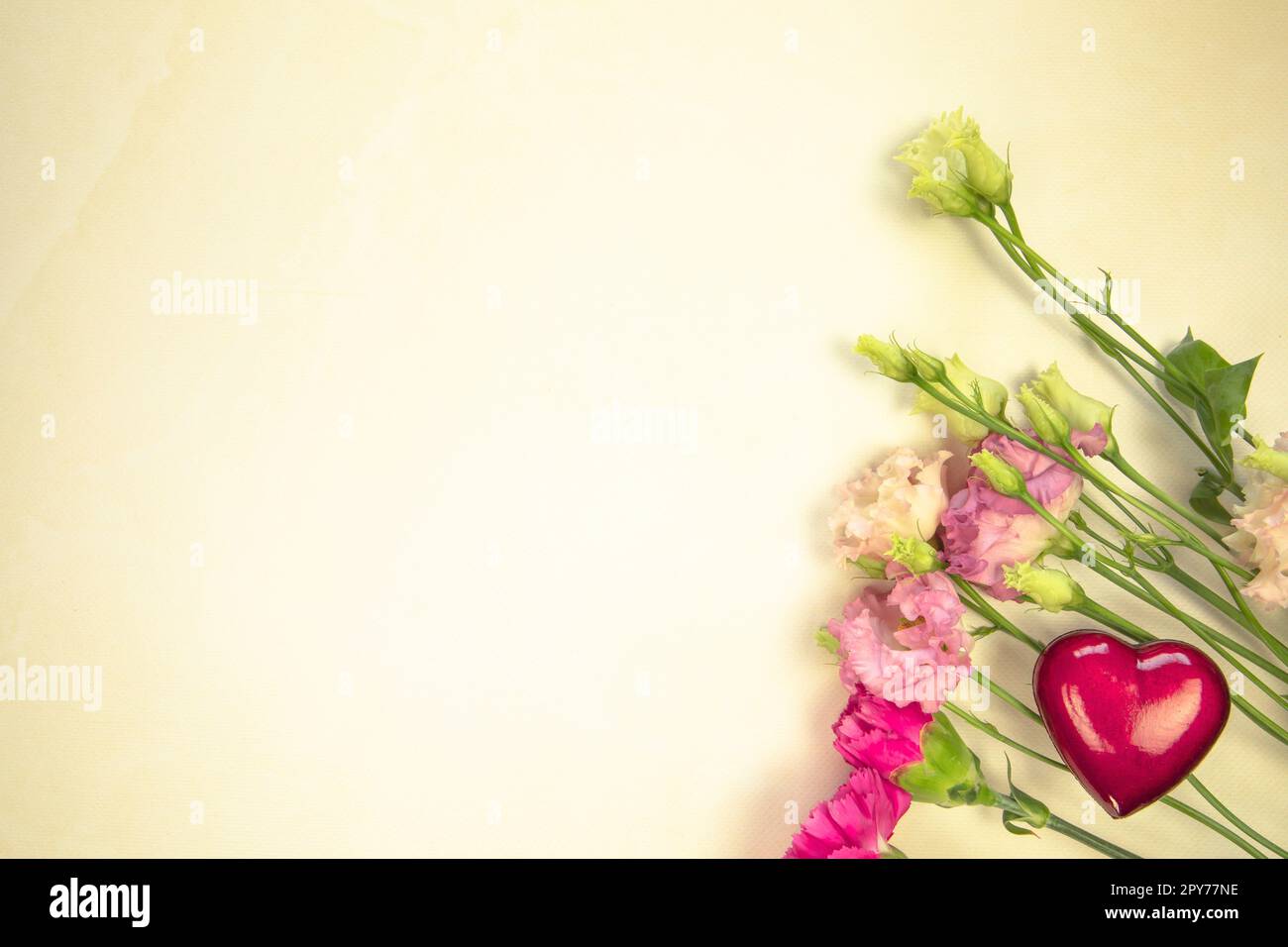 Blumendesign aus verschiedenen frischen Frühlingsblumen auf gelbem Hintergrund. Schöne Lichtreflexionen. Draufsicht. wildblumen flach liegend Kopierraum, Frühling, Sommer Naturkonzept Stockfoto