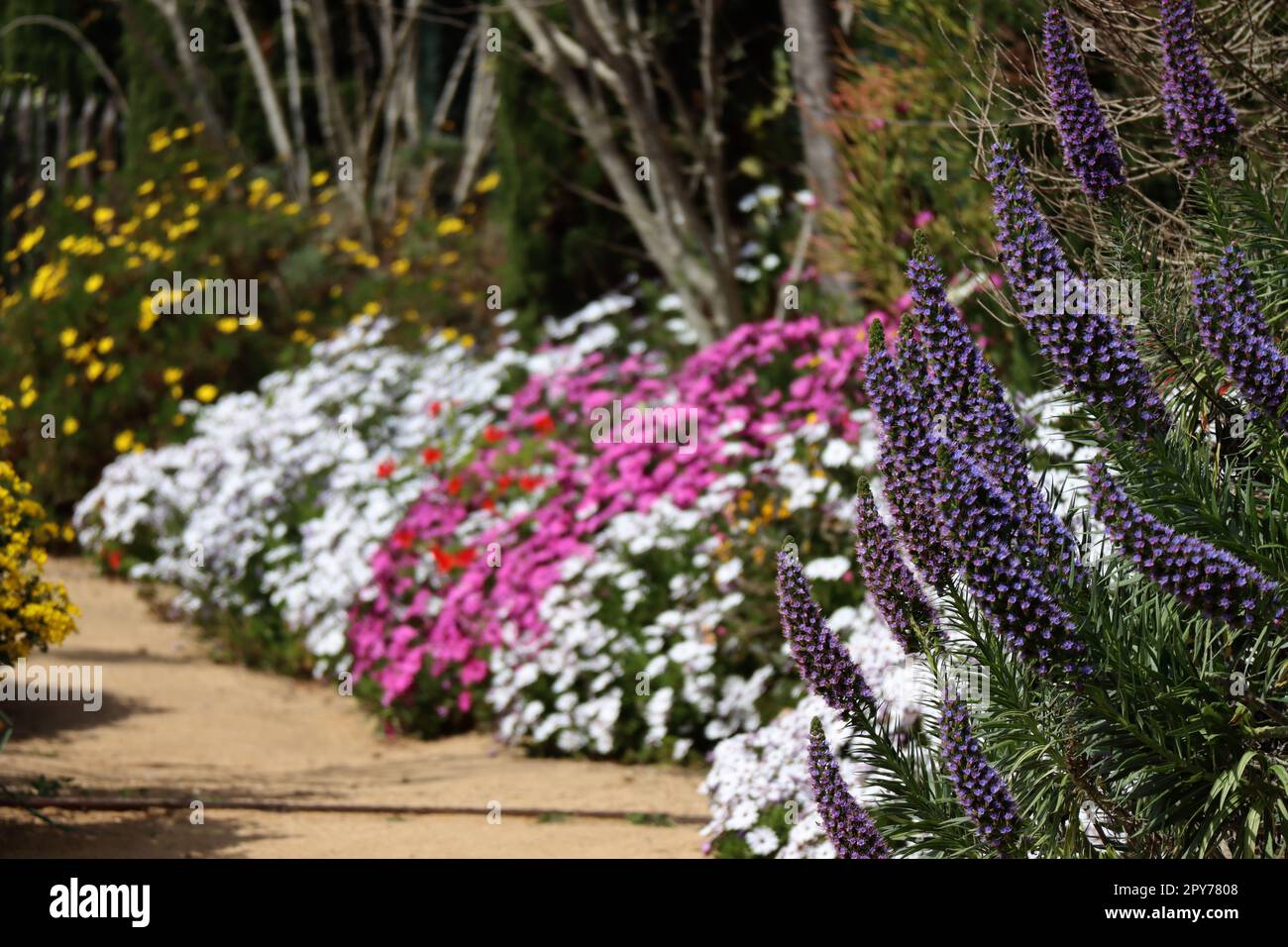 Blanes-Stadt in Spanien Stockfoto