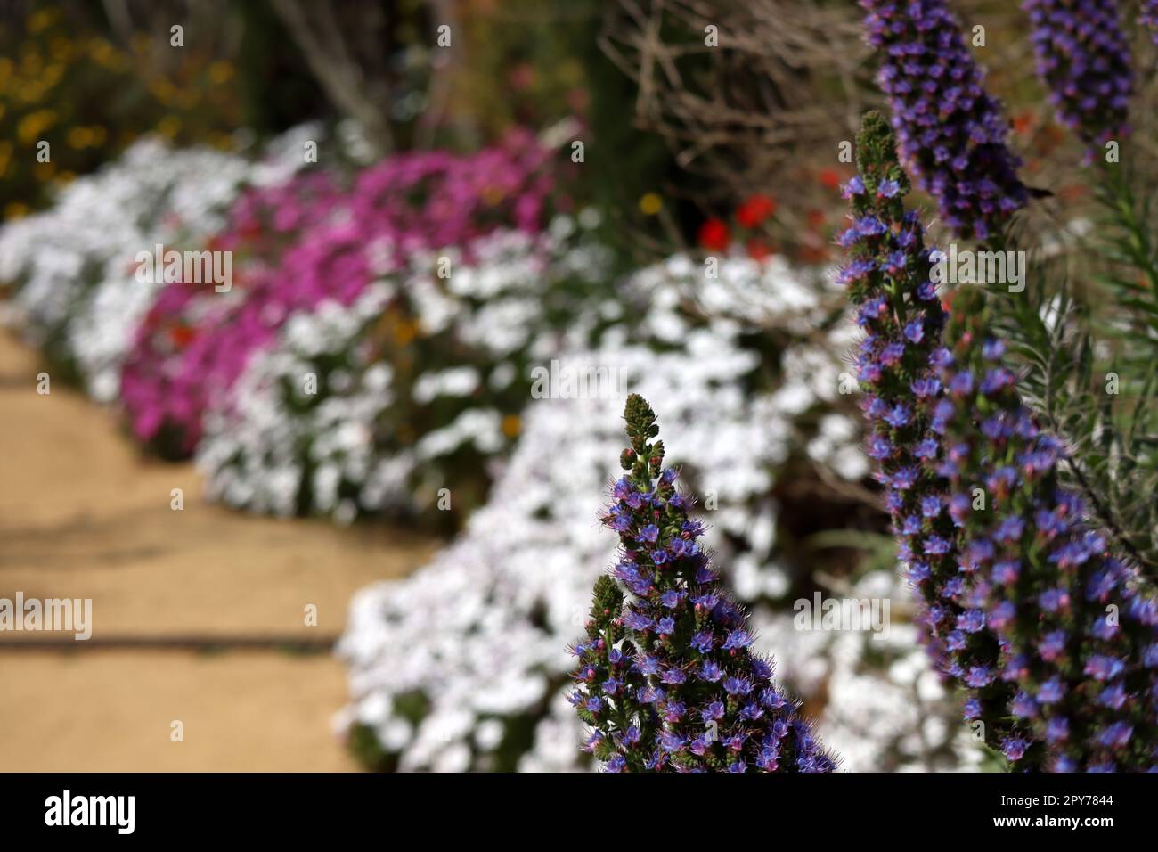 Blanes-Stadt in Spanien Stockfoto