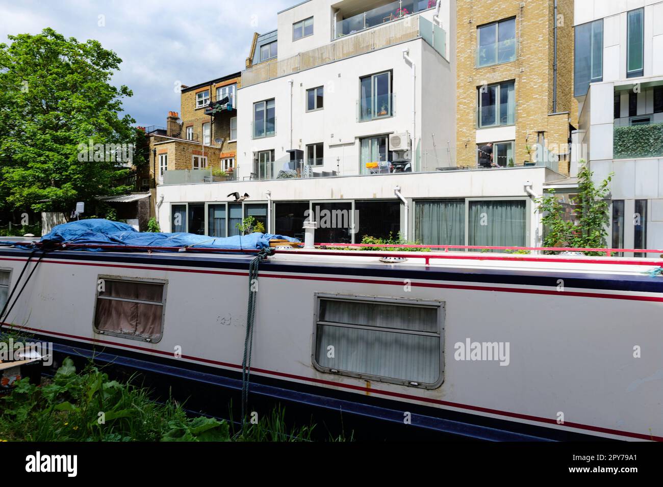 London - 05 21 2022: Mallard Duck im Flug vor Hausbooten, die auf dem Fußweg des Grand Union Canal in der Nähe der Adela Street festgemacht sind Stockfoto