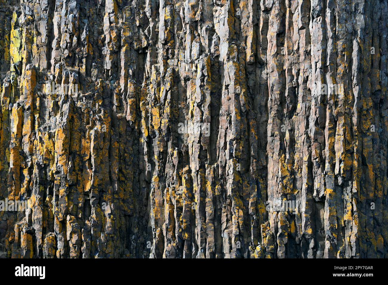 Basaltfelsen in Stykkisholmur im Norden der Halbinsel Snaefellsness, Insel. Stockfoto