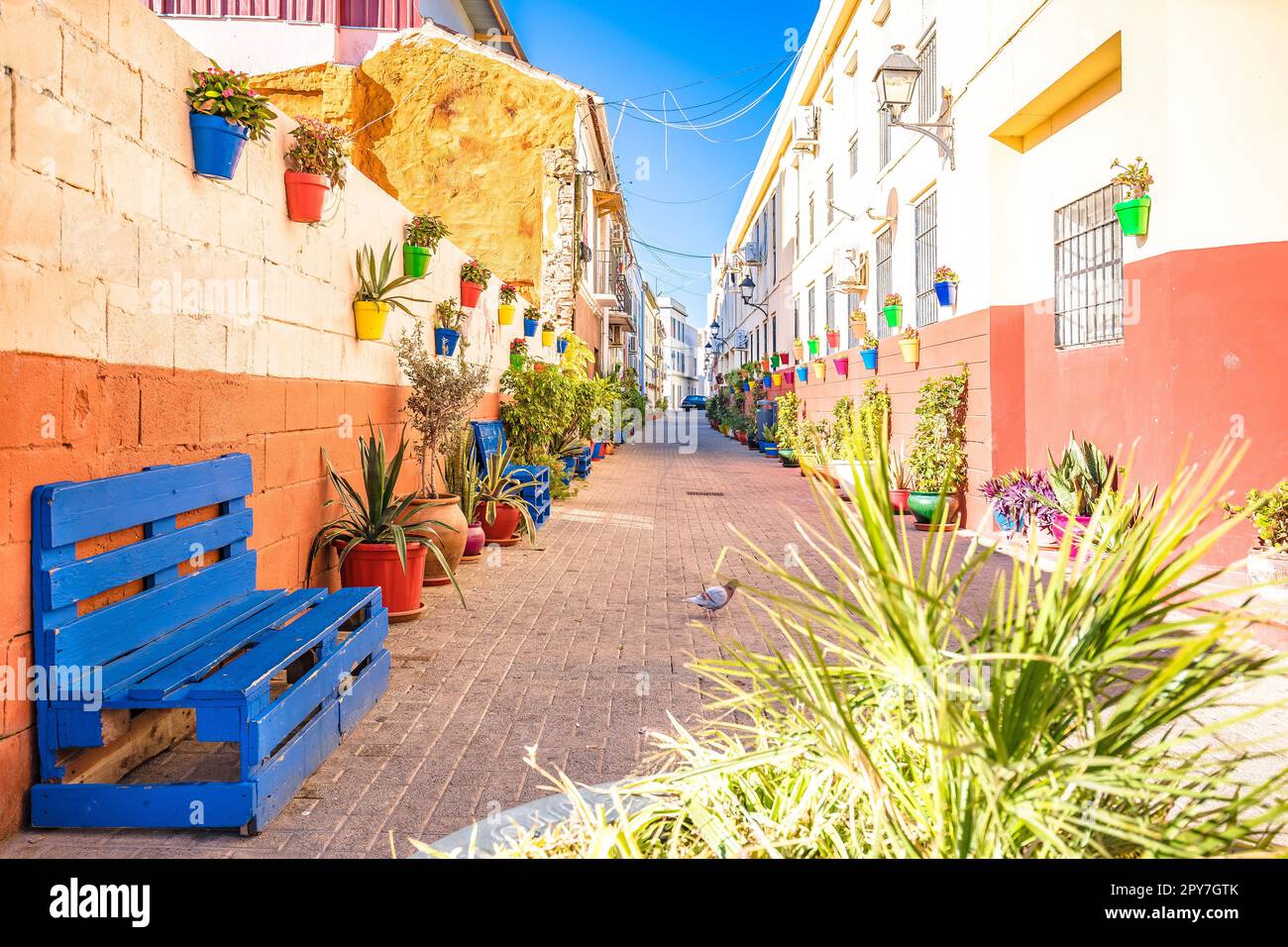 Idyllische, farbenfrohe Straße in der Altstadt von Malaga Stockfoto
