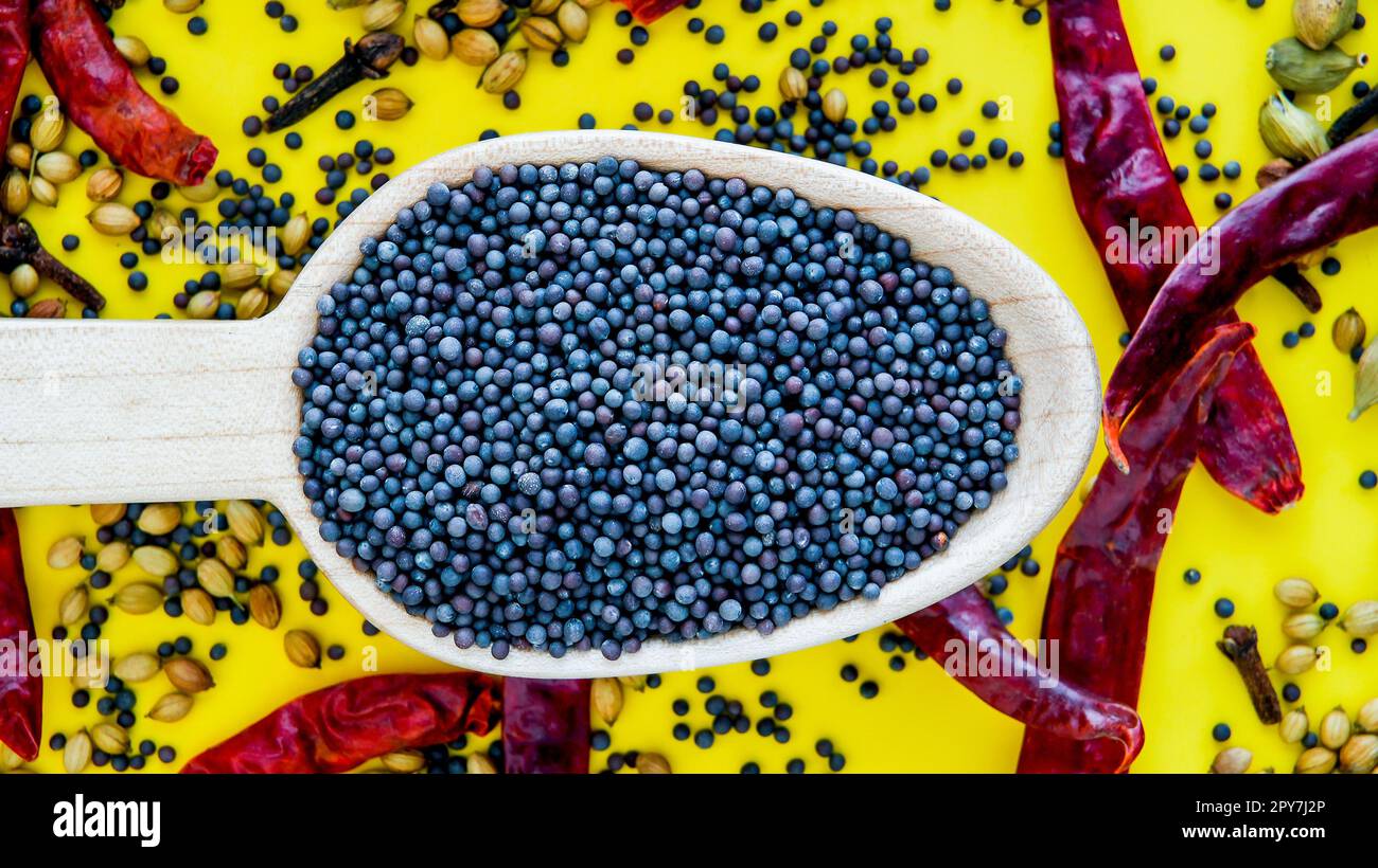 Holzlöffel mit schwarzen Senfkörnern auf gelbem Hintergrund mit roter Paprika Stockfoto
