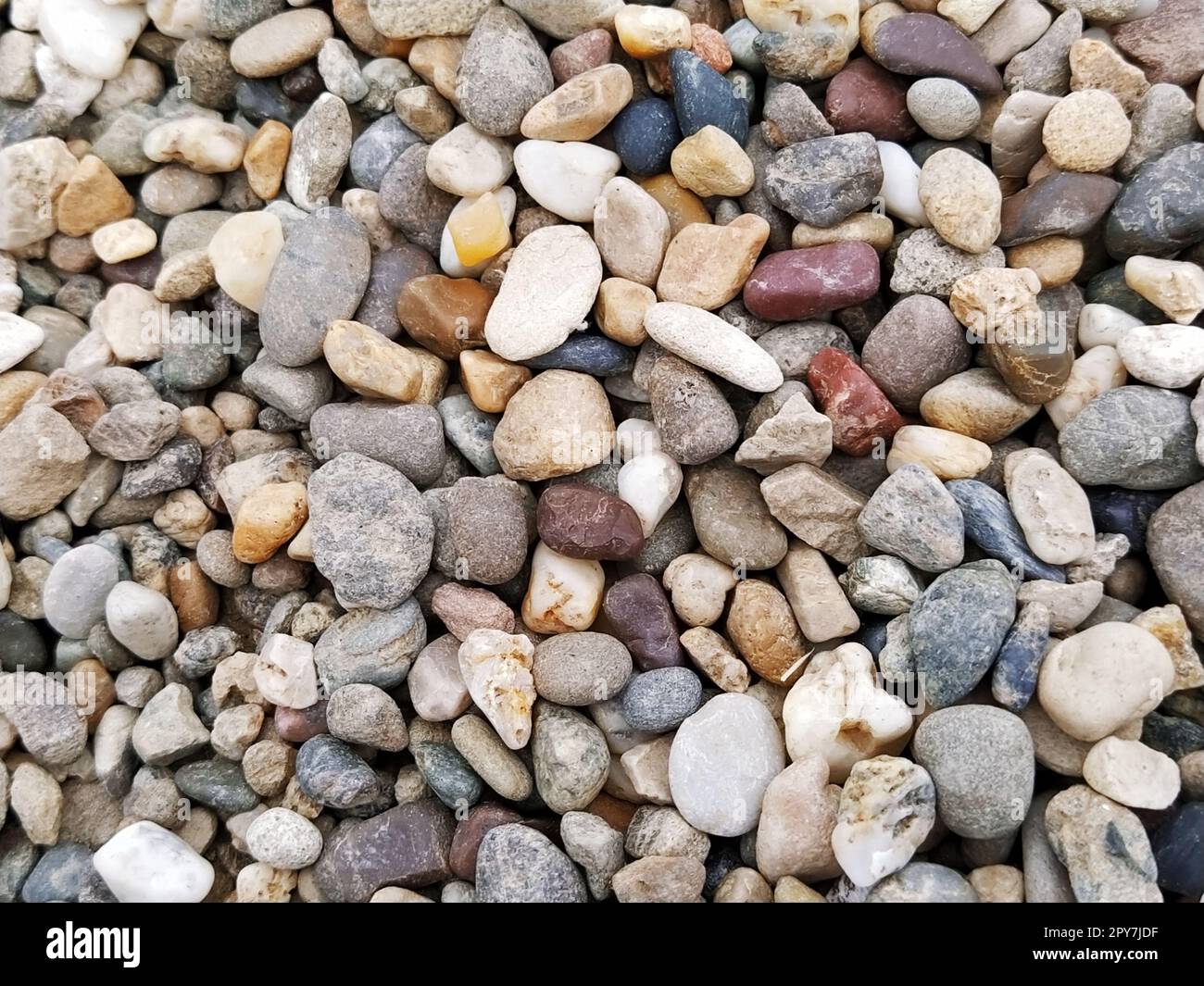 Kiesel als Hintergrundbild. Weiße, graue, braune, rötliche kleine Steine oder Kiesel. Stockfoto