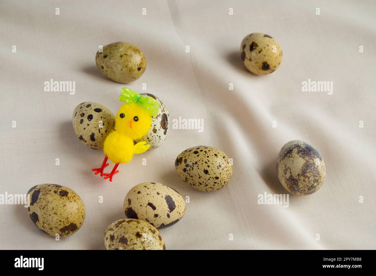 Wachteleier und ein Hühnerspielzeug, bereiten sich auf Ostern vor Stockfoto