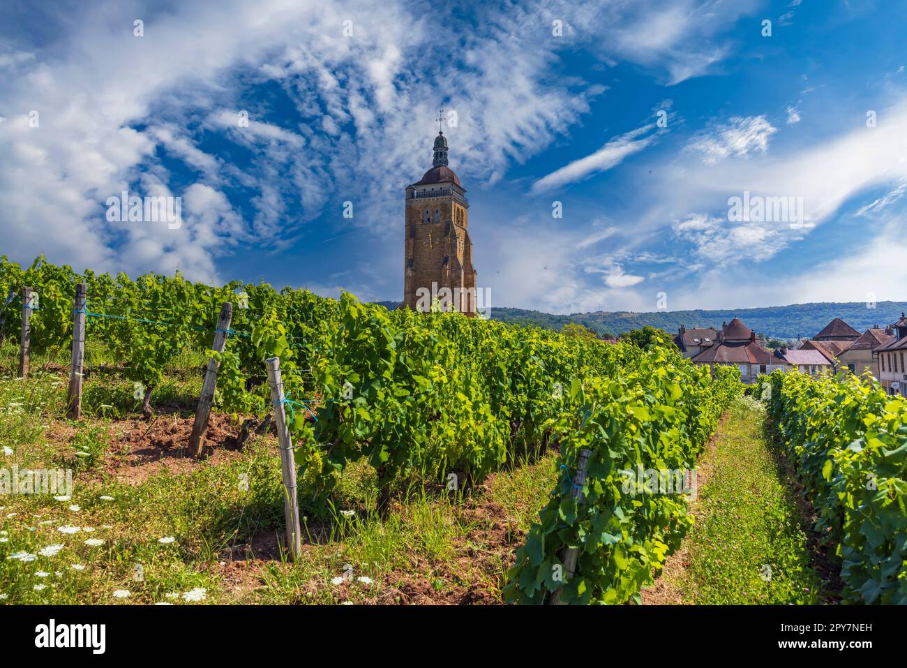 Weinberge mit Arbois-Kirche, Departement Jura, Franche-Comte, Frankreich Stockfoto