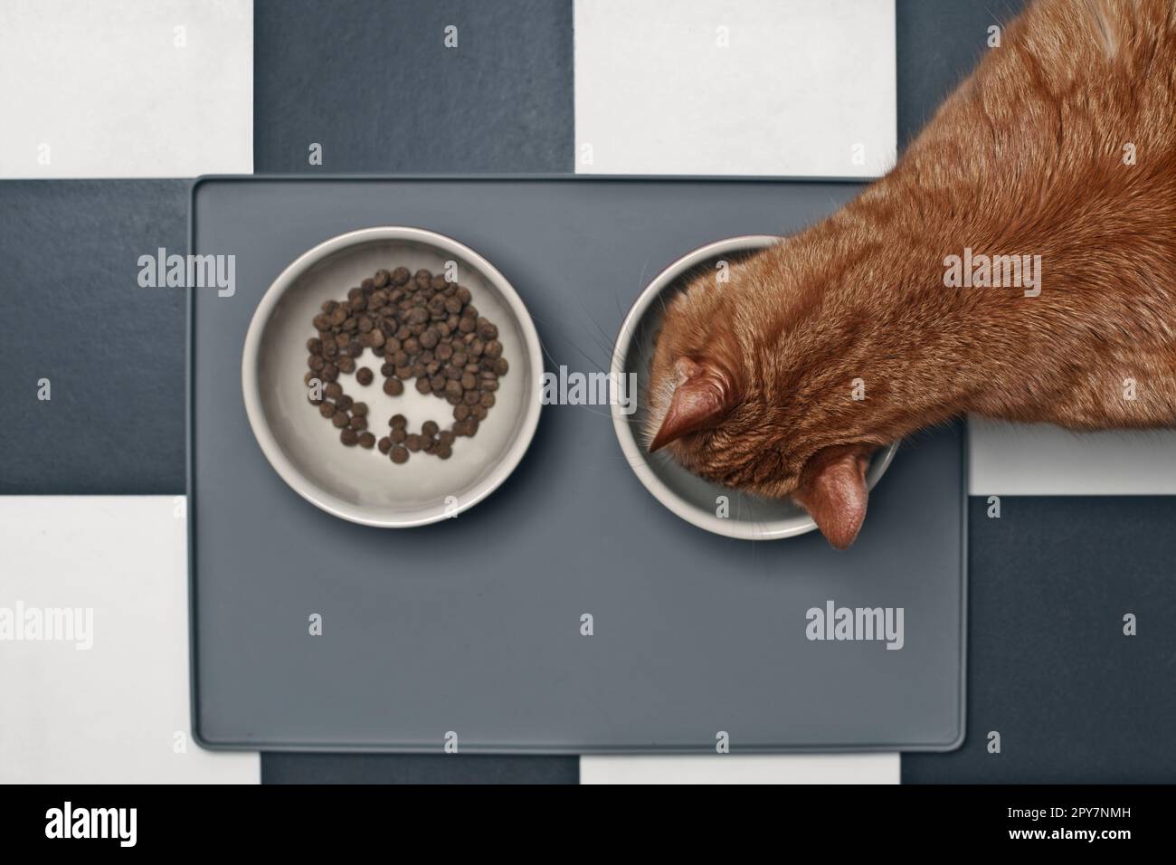 Rote Katze, die feuchtes Futter neben einer Futterschüssel mit trockenem Futter isst, direkt von oben gesehen. Stockfoto